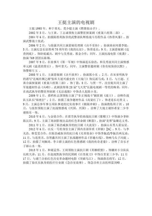 王挺主演的电视剧