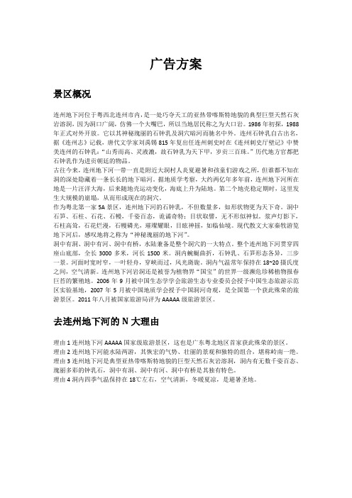 应用写作广告方案