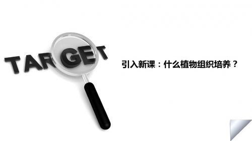 组培苗的驯化移栽技术