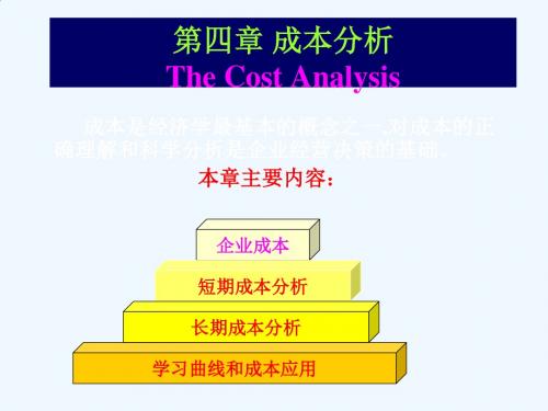 成本分析