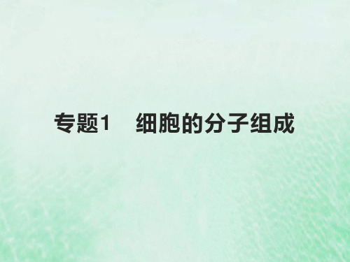 高考生物基础知识综合复习第一单元细胞的分子组成与结构专题1细胞的分子组成课件