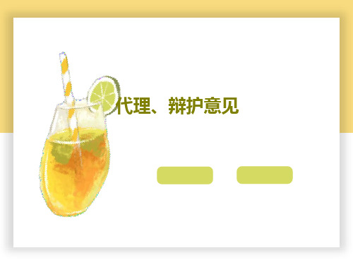 代理、辩护意见28页PPT