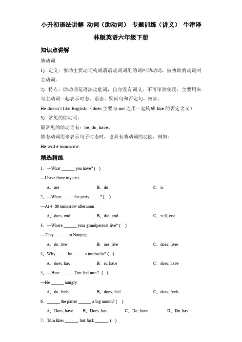 小升初语法讲解动词(助动词)专题训练(讲义)牛津译林版英语六年级下册