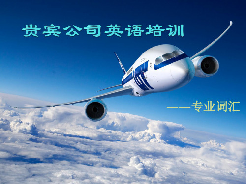 民航地面服务英语词汇