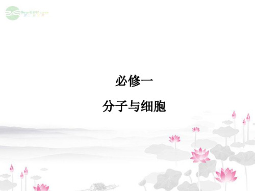 高考生物一轮复习 1 细胞的基本结构课件 新人教版