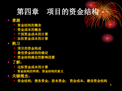 项目的资金结构PPT课件