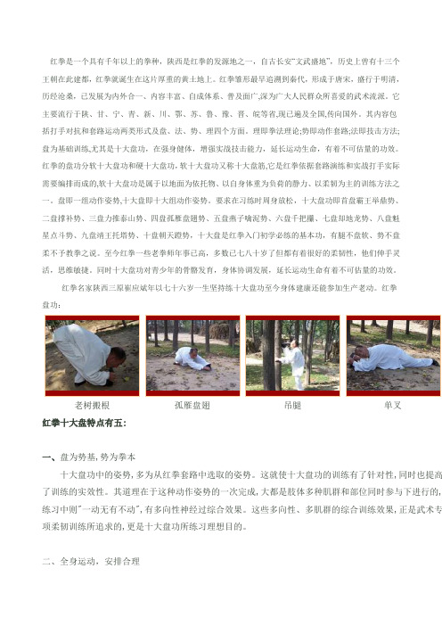 红拳十大盘功