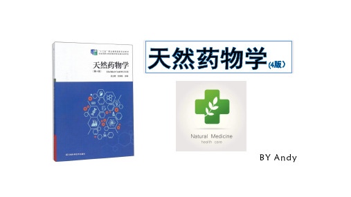 天然药物学 第十章4 根及根茎类天然药物(人参P246～三七P249)