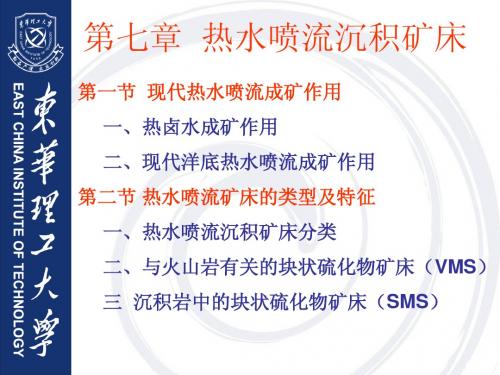 第五章  热水喷流沉积矿床(08)