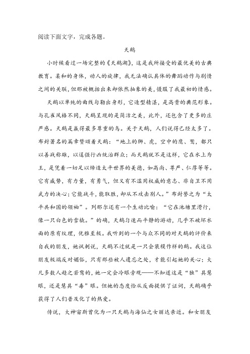 《天鹅》阅读练习及答案