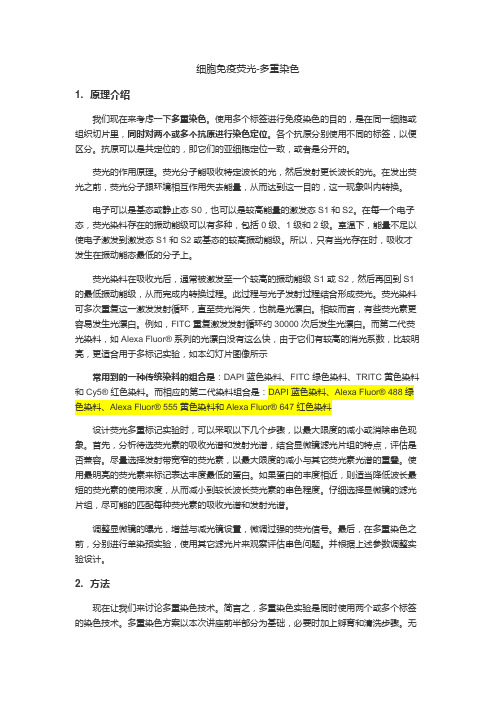 免疫荧光染色方法介绍