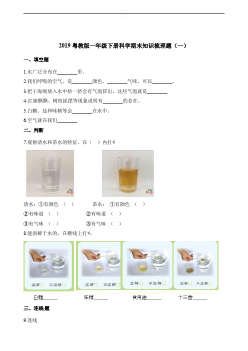 2019粤教版一年级下册科学期末知识梳理题汇总