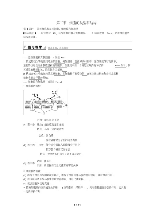 高中生物3.2.1原核细胞和真核细胞、细胞膜和细胞壁课时作业苏教版必修1
