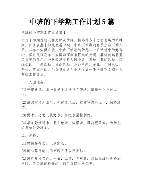 中班的下学期工作计划5篇