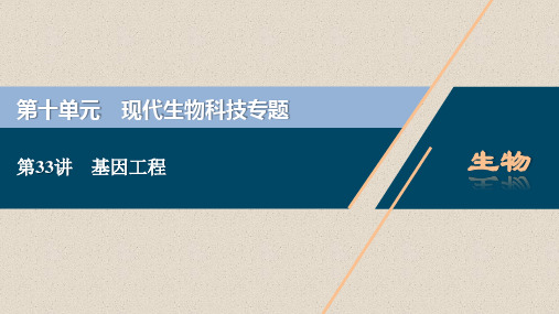 2021版高考生物(人教版)一轮复习课件：第十单元 第33讲 基因工程