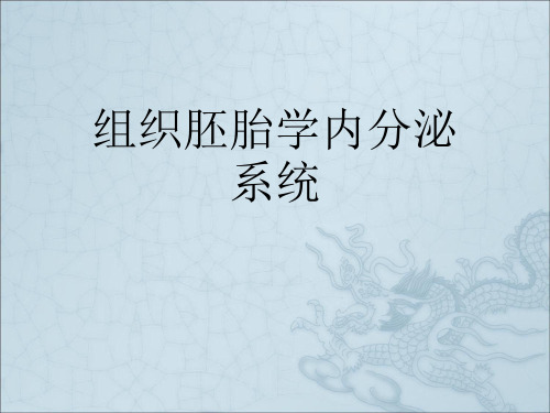 组织胚胎学内分泌系统