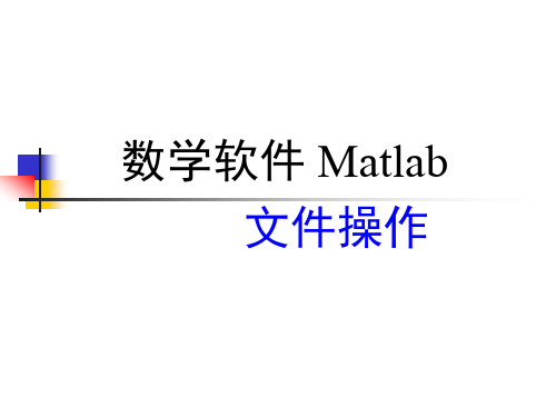 Matlab输入输出函数..