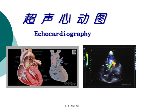 超 声 心 动 图
