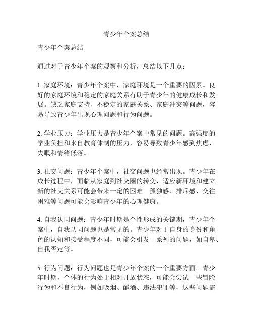 青少年个案总结