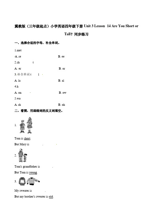 四年级下册英语一课一练-Unit3 Lesson14 Are You Short or Tall？∣冀教版(三起)(含解析)