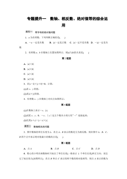 浙教版七年级数学上册分层训练：专题提升一 数轴、相反数、绝对值等的综合运用