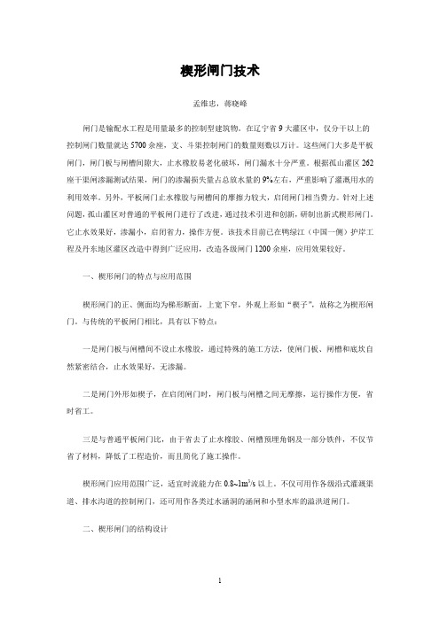 楔形闸门技术