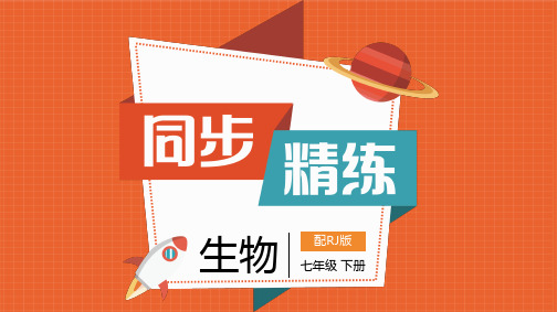 七年级生物下册第四单元第二章检测试卷及答案