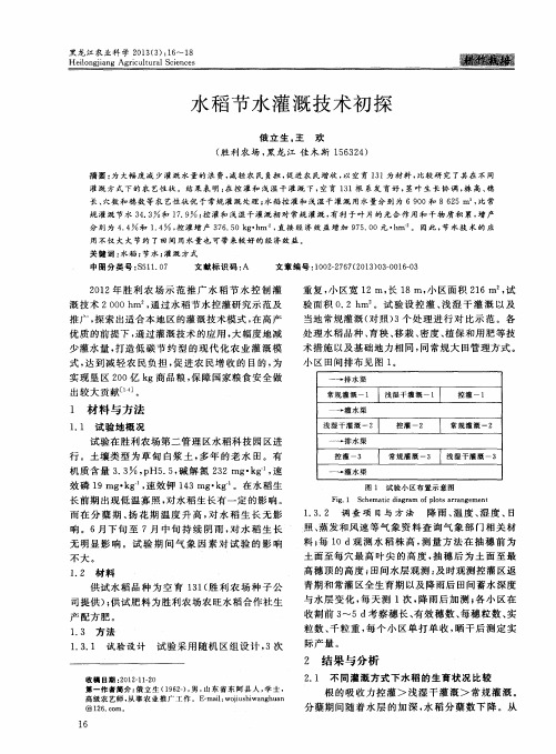 水稻节水灌溉技术初探