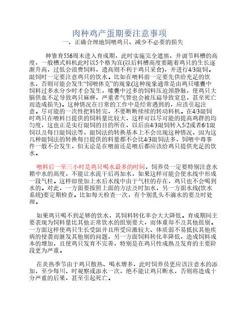 肉种鸡产蛋期要注意事项