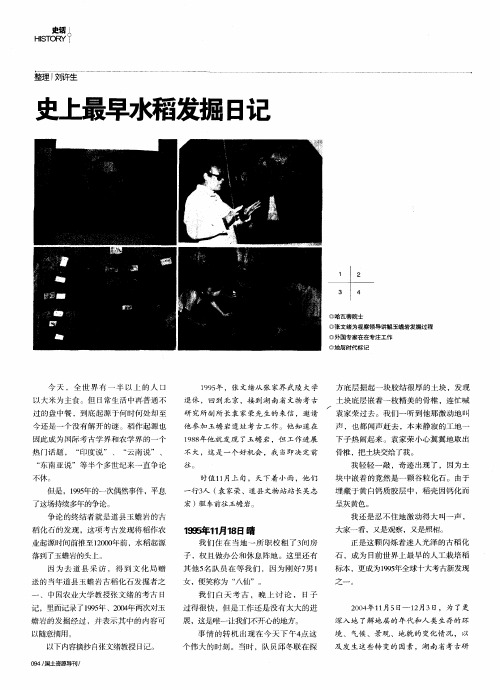 史上最早水稻发掘日记