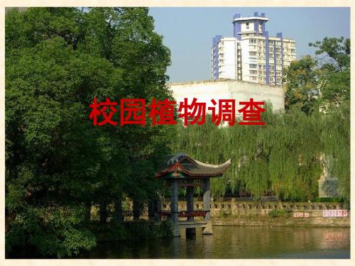 《校园植物调查》教案1(11页)(冀教版七年级上)