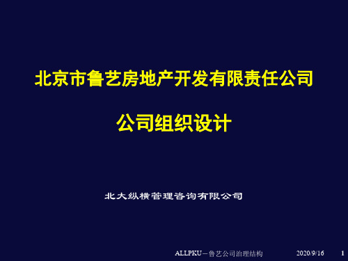 某咨询鲁艺公司组织设计报告