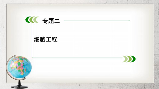 《细胞工程》高中生物选修3专题2【2017人教版】