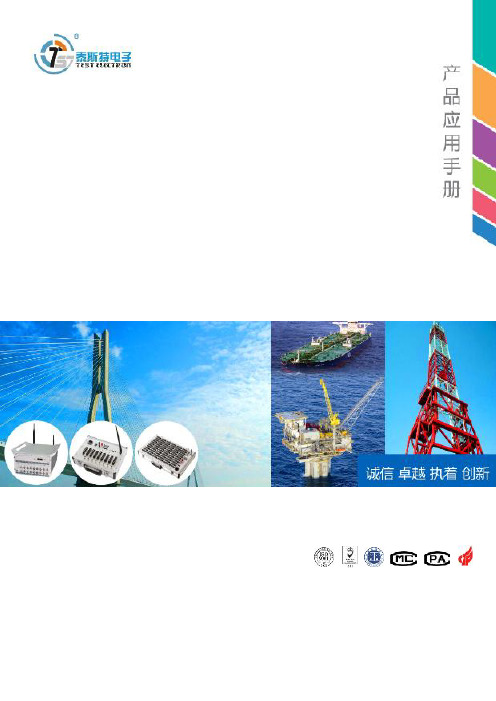 泰斯特电子应用样本