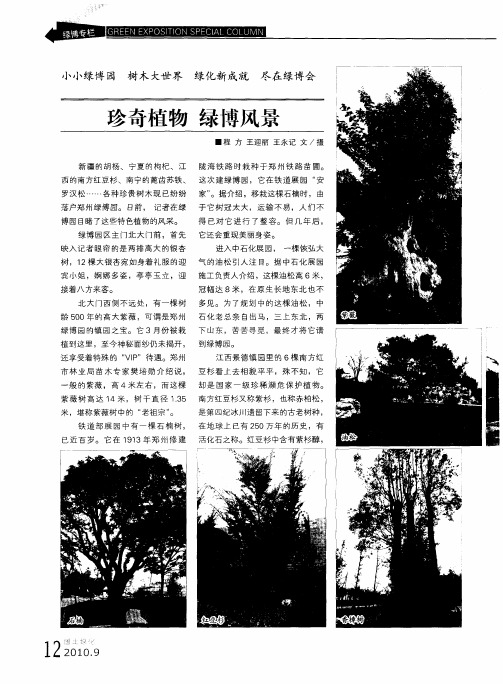 珍奇植物  绿博风景