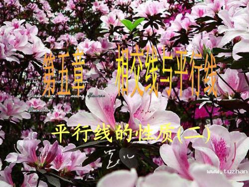 人教版七年级下册数学第五章平行线的性质(二)课件