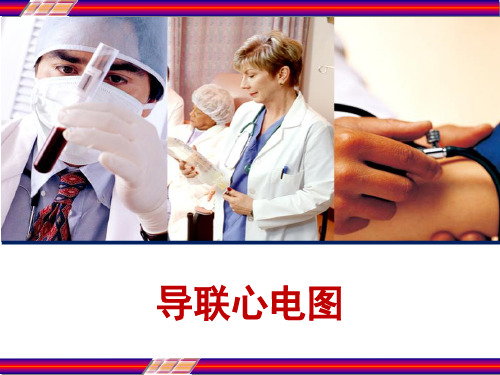 导联心电图 PPT