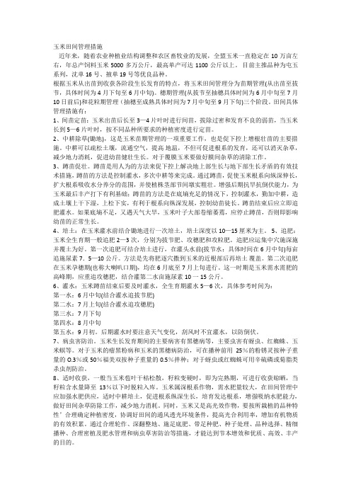 玉米田间管理措施
