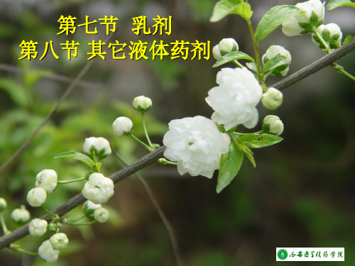 9.乳剂、给药途径制剂