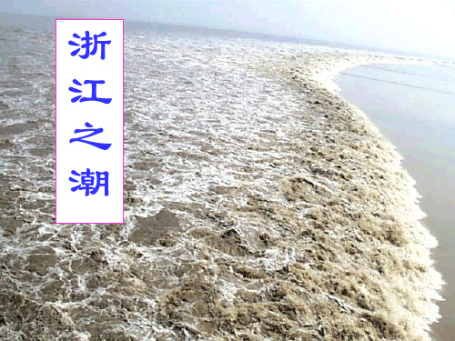 浙江之潮PPT
