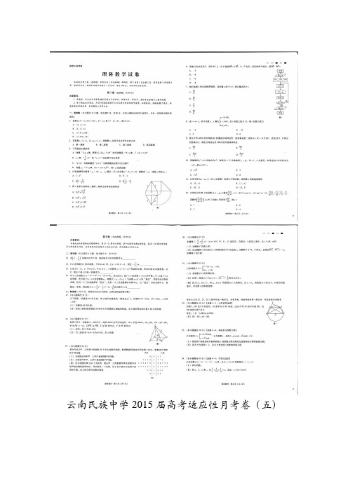 云南省民族中学2015届高三高考适应性月考卷(五)理科数学含答案
