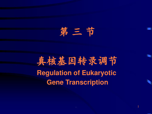 医用分子遗传学真核基因转录调节ppt课件