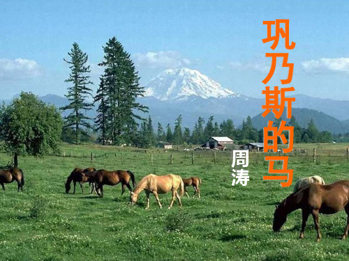 语文：1.2《巩乃斯的马》课件(1)(粤教版必修3)