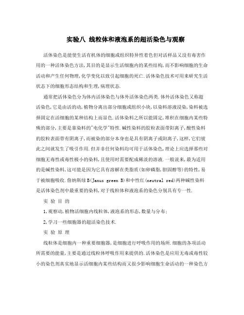 实验八线粒体和液泡系的超活染色与观察