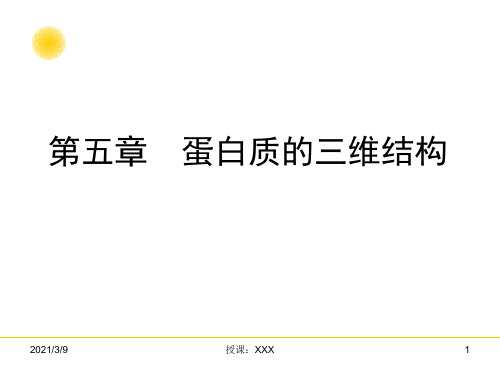 蛋白质的三维结构PPT课件