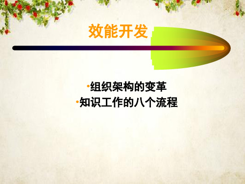 组织架构的变革(ppt 19页)