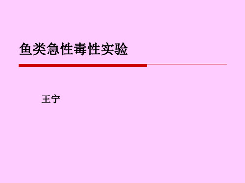实验鱼类急性毒性实验