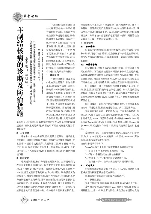 羊副结核病的诊断及防治措施