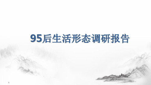 中国95后生活形态调研报告