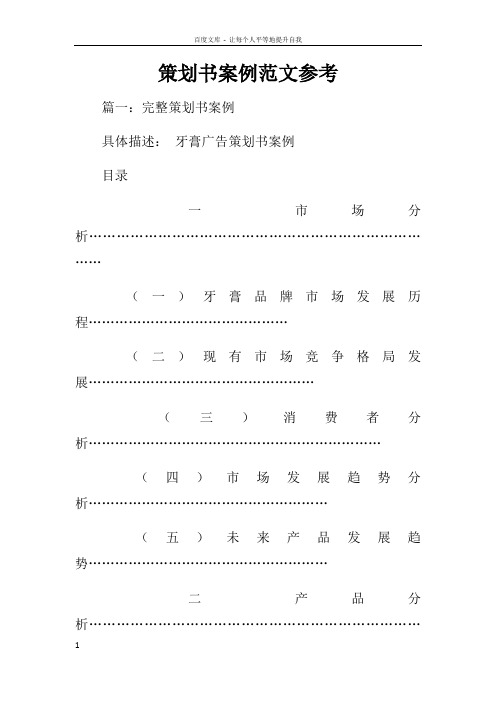 策划书案例范文参考